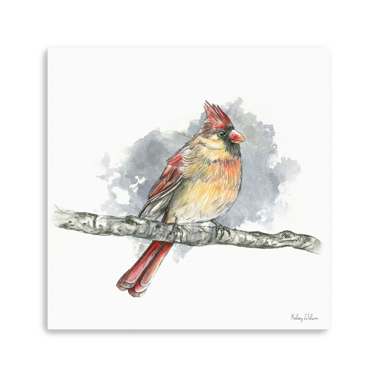 Birds Branches II Female Cardinal Canvas Giclee